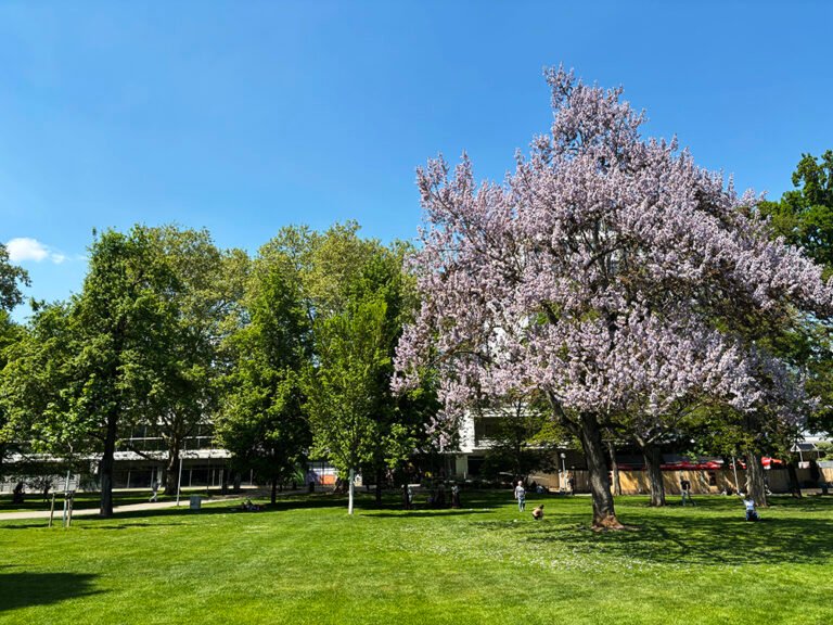 Schlossgarten