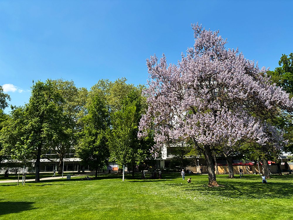 Schlossgarten